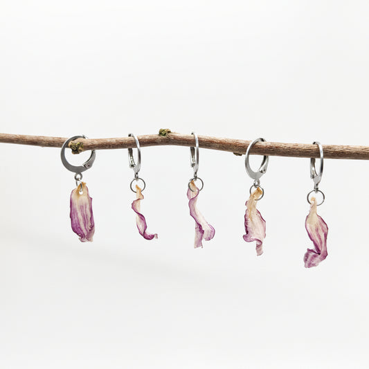 Fey Aster - Boucles d'oreilles en pétales séchés