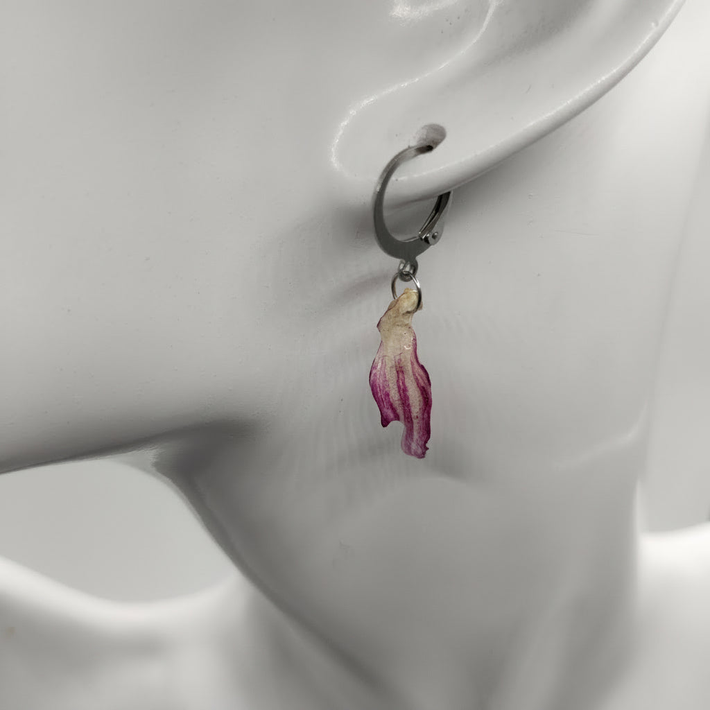Fey Aster - Boucles d'oreilles en pétales séchés