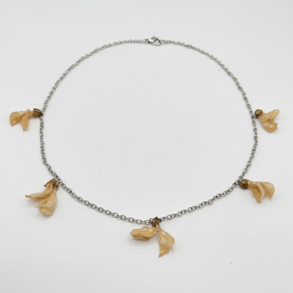 Gold acacia - Collier en pétales séchés
